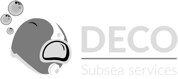 Logo for 