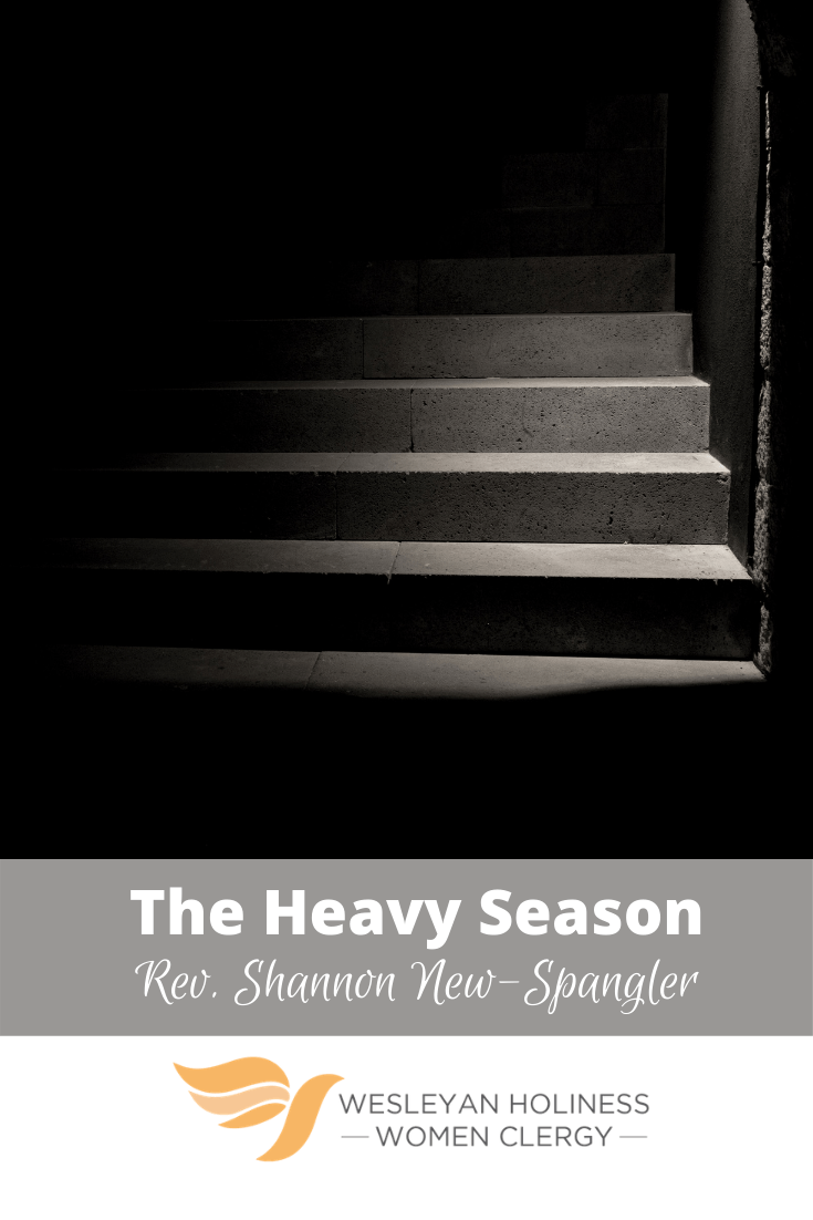 Shadows falling on a dark gray concrete staircase in a black room.