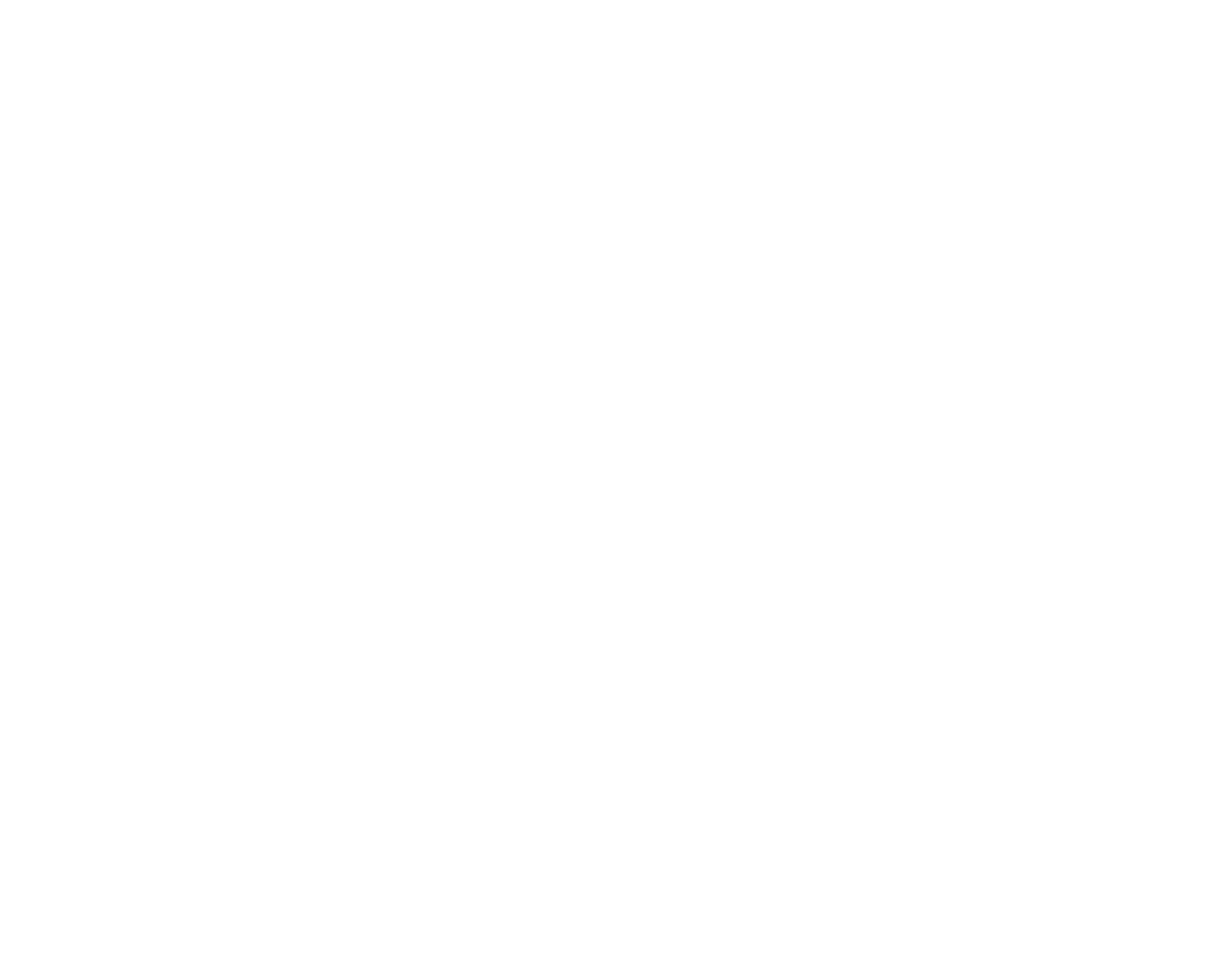Pin Up Penny Photography logo