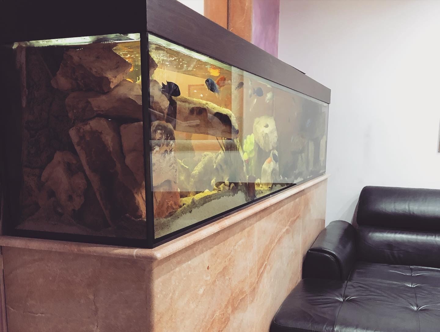 Acquario con base in marmo