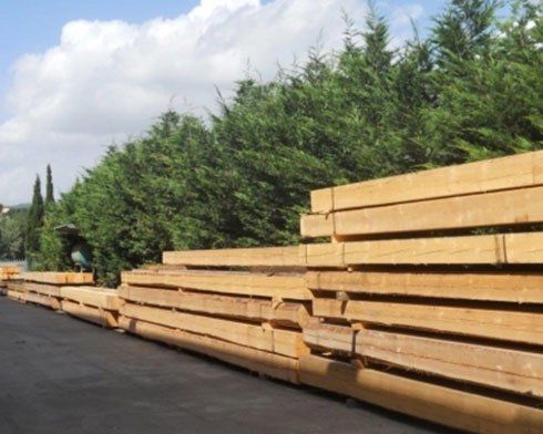 delle assi di legno e vista dei alberi accanto