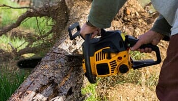 Cutting a Fallen Tree - Tree Service contractor in Santa Rosa, CA