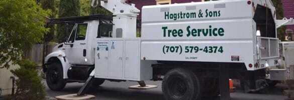 Service Truck - Tree Service contractor in Santa Rosa, CA Service Truck - Tree Service contractor in Santa Rosa, CA