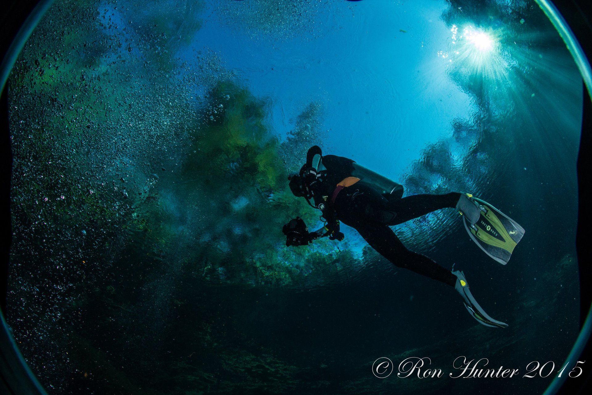 Looking up at a diver in shallow water, trees on the outside