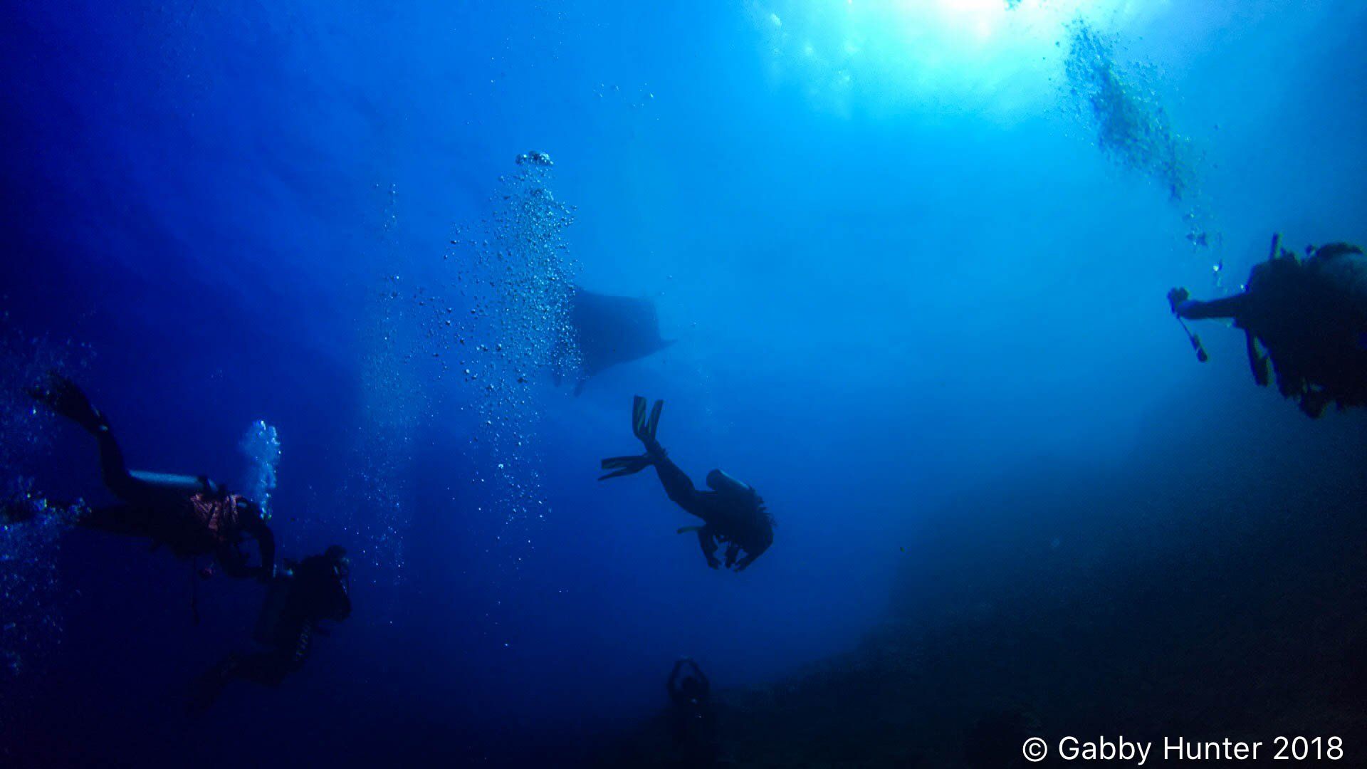 Three divers and a manta in the distance