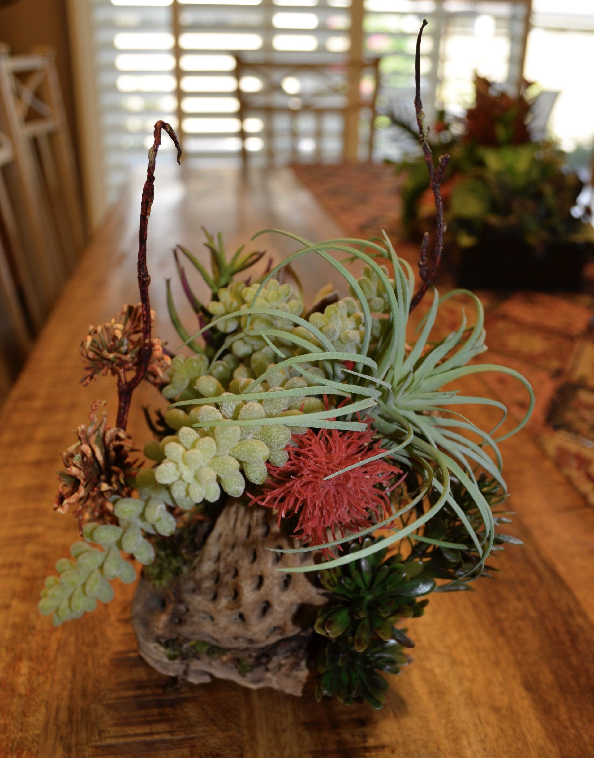 Artful Nature