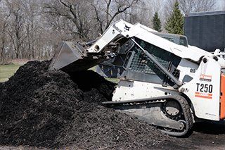 bobcat and dirt — Wall in Forest Lake MN