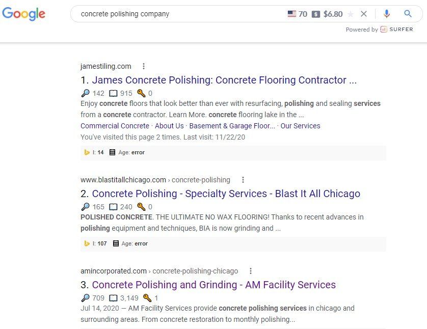 SEO company in Chicago, IL case study