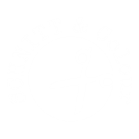 Schnitt & Colour