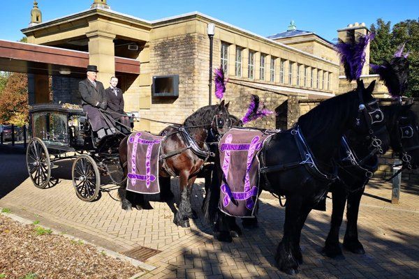 horse drawn carriage