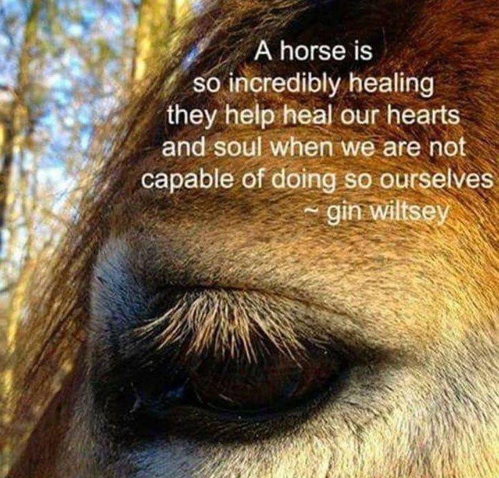 Photo with Text: Horse's Eye - Text: