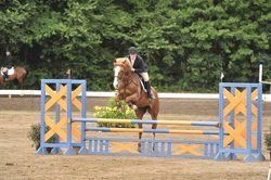 Photo: Erica Wheeler Jumping