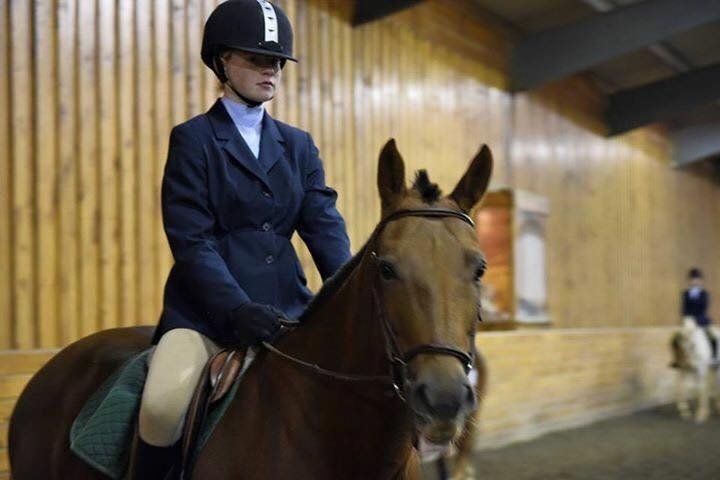 Photo: Rider on horse