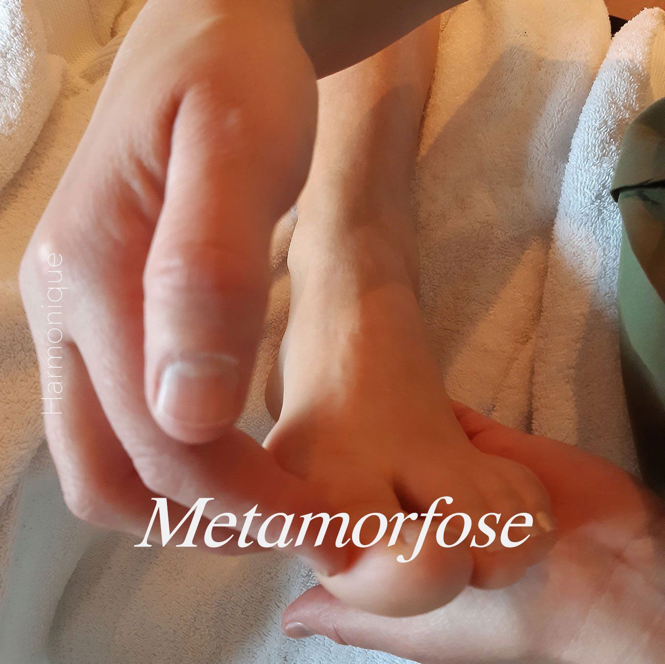 Metamorfose