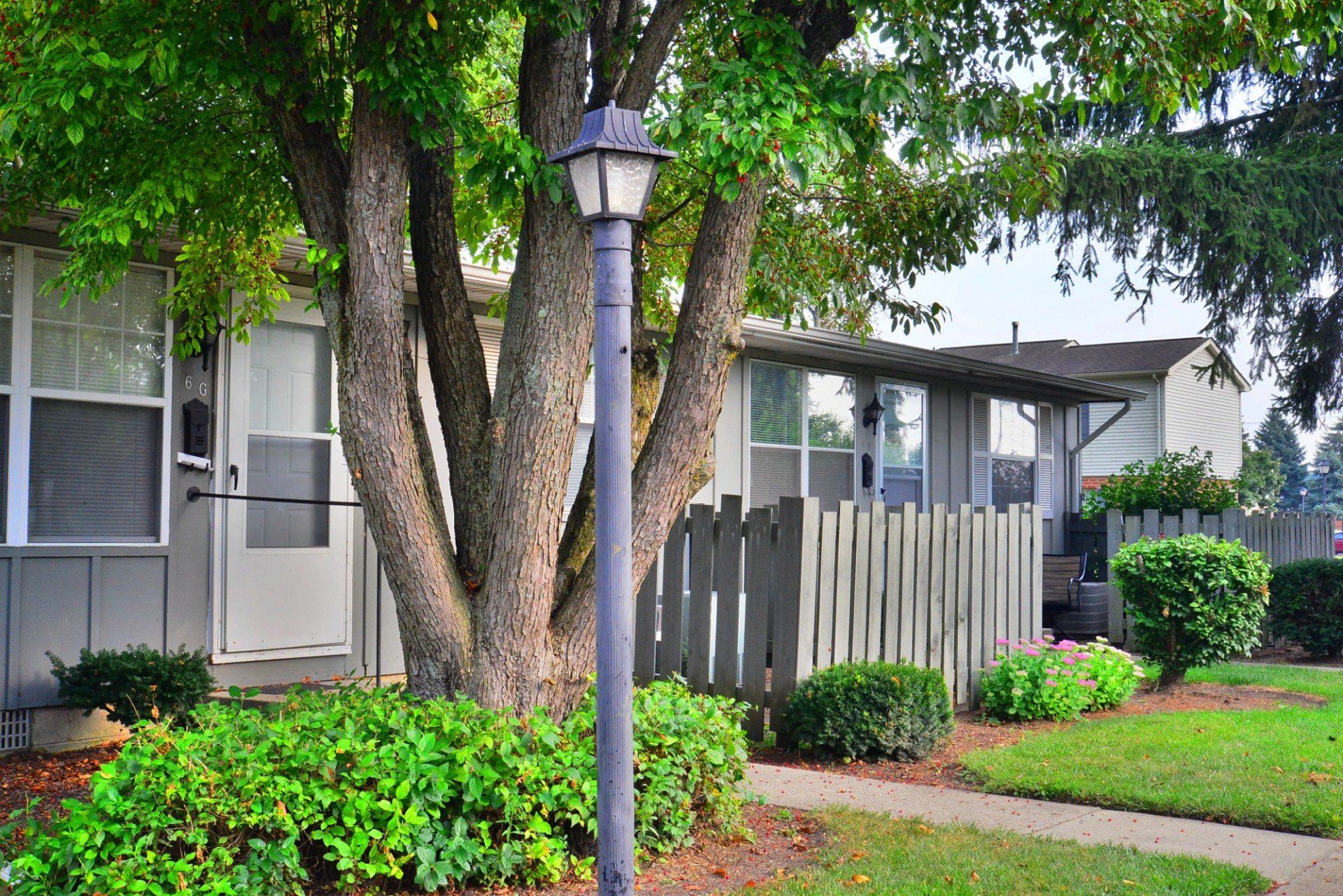 ivy court building exterior