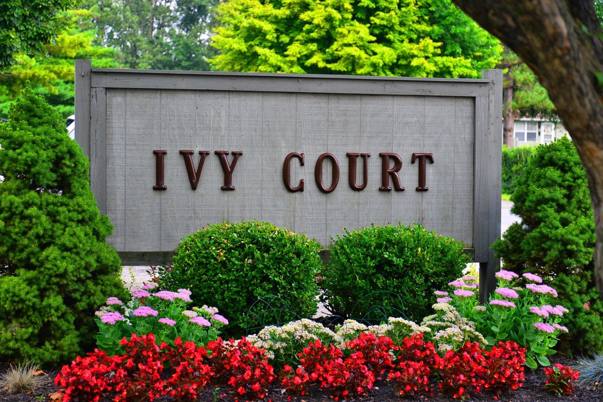 ivy court sign