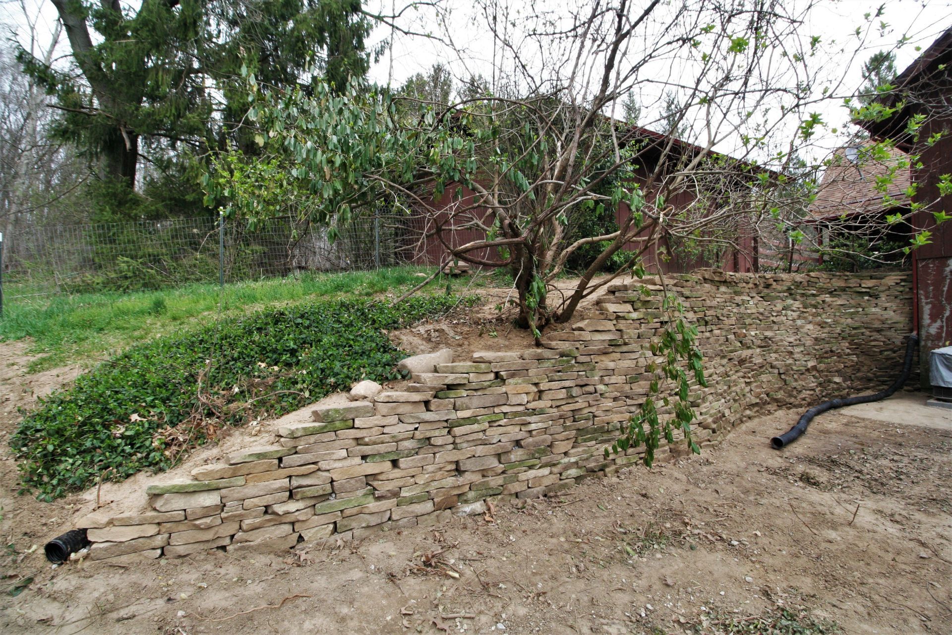 Curved dry-stack stone retaining wall built around a tree beside a red barn