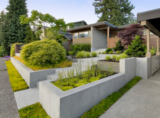Modern home with tiered concrete planters and landscaped greenery by a driveway
