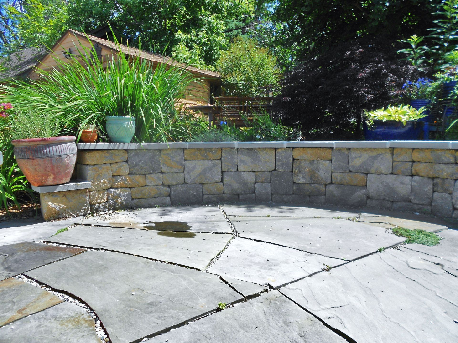 Stone patio with curved retaining wall, potted plants, and lush greenery in a backyard garden