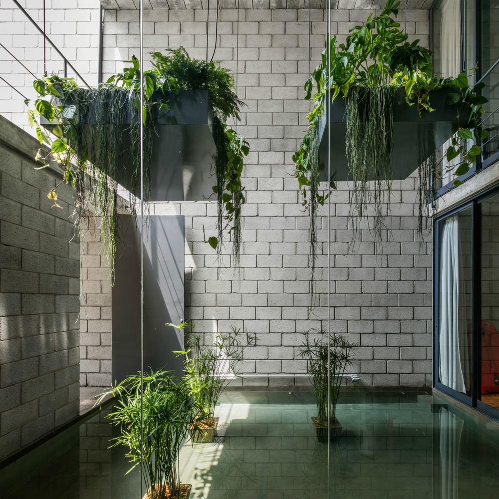 Sunlit indoor courtyard with white brick walls, hanging plants, and a shallow reflecting pool