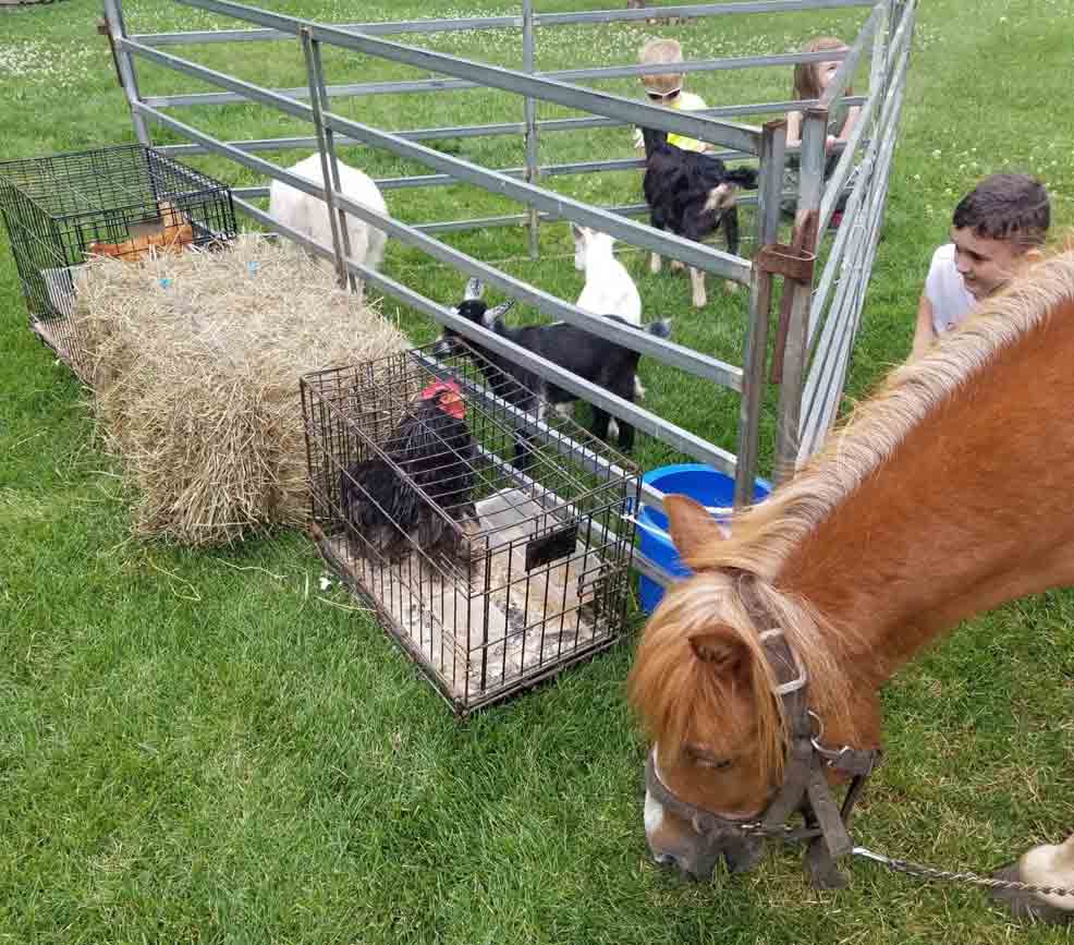 Pony Racing — Children Watch Animals While Feeding in Wyandanch, NY