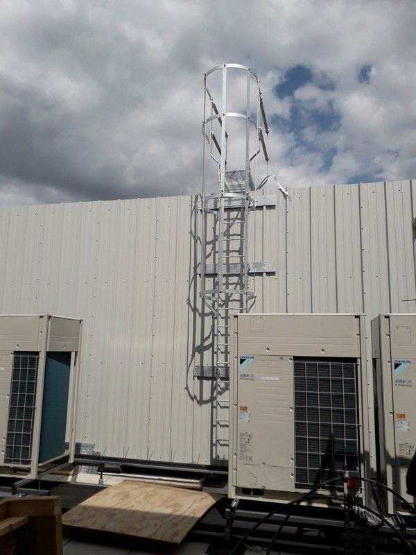 Fall protection ladders