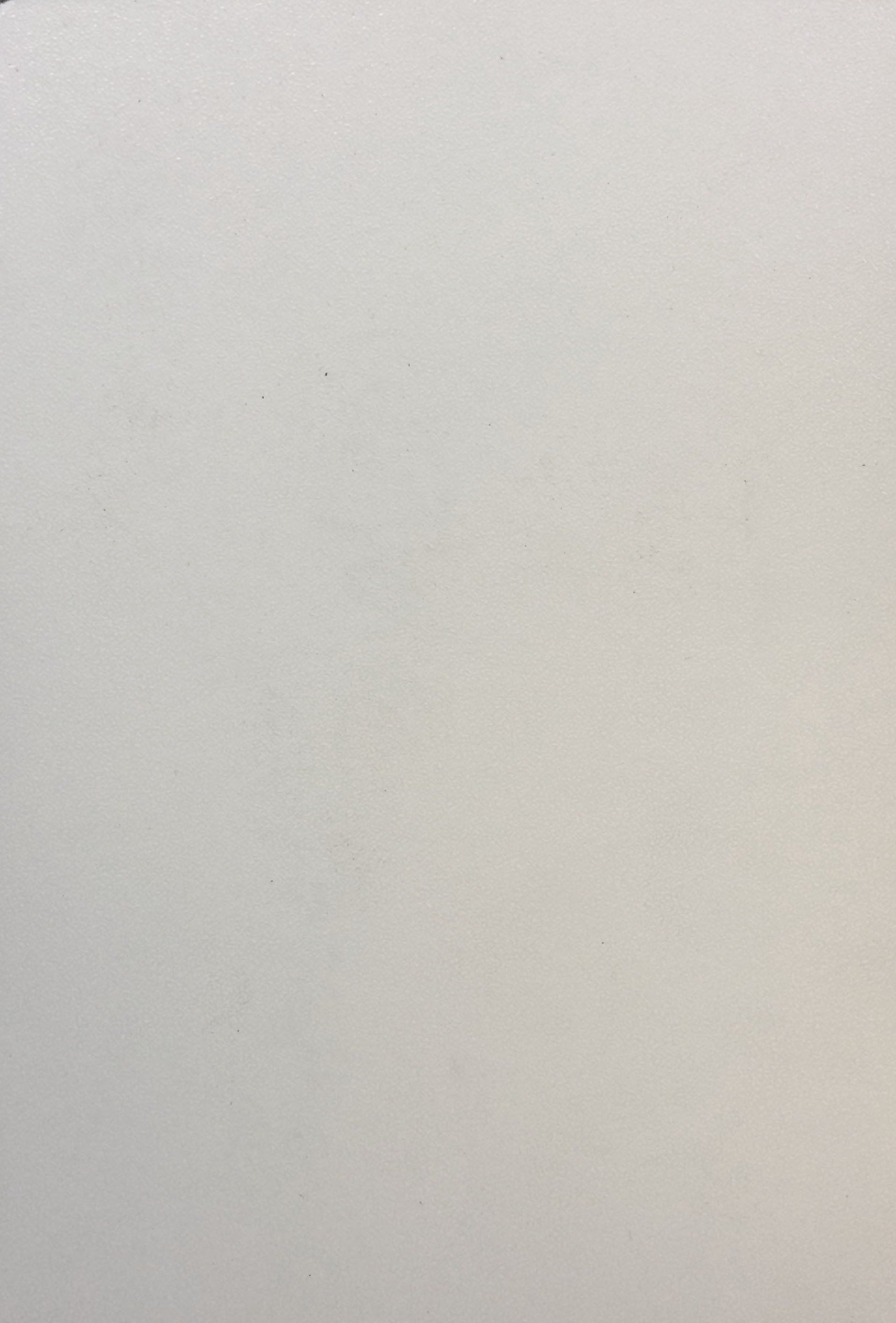 White Tile Danoline