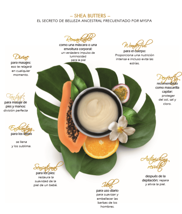 Shea Butter — Shea Butter Moisturizer in Fort Myers, FL Shea Butter — Shea Butter Moisturizer in Fort Myers, FL