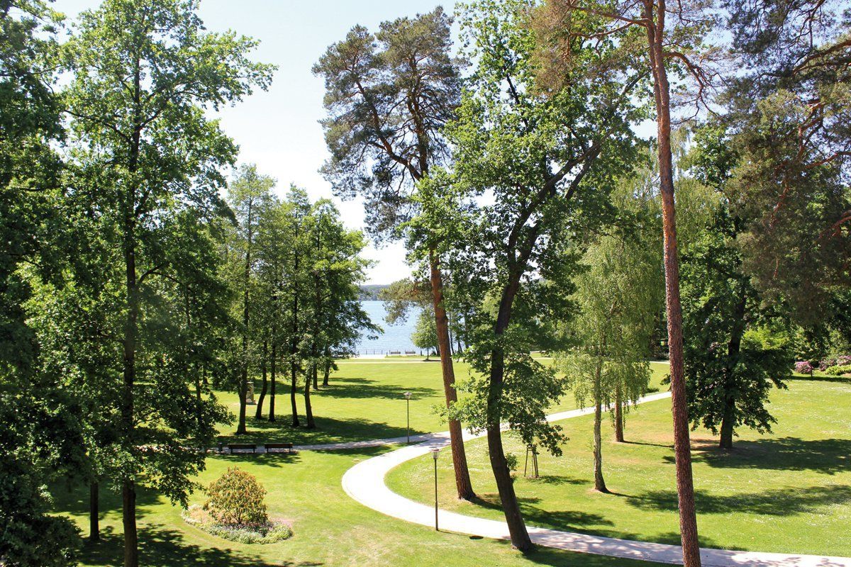 Ein Weg durch einen Park mit Bäumen und einem See im Hintergrund