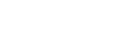 Vivid Image