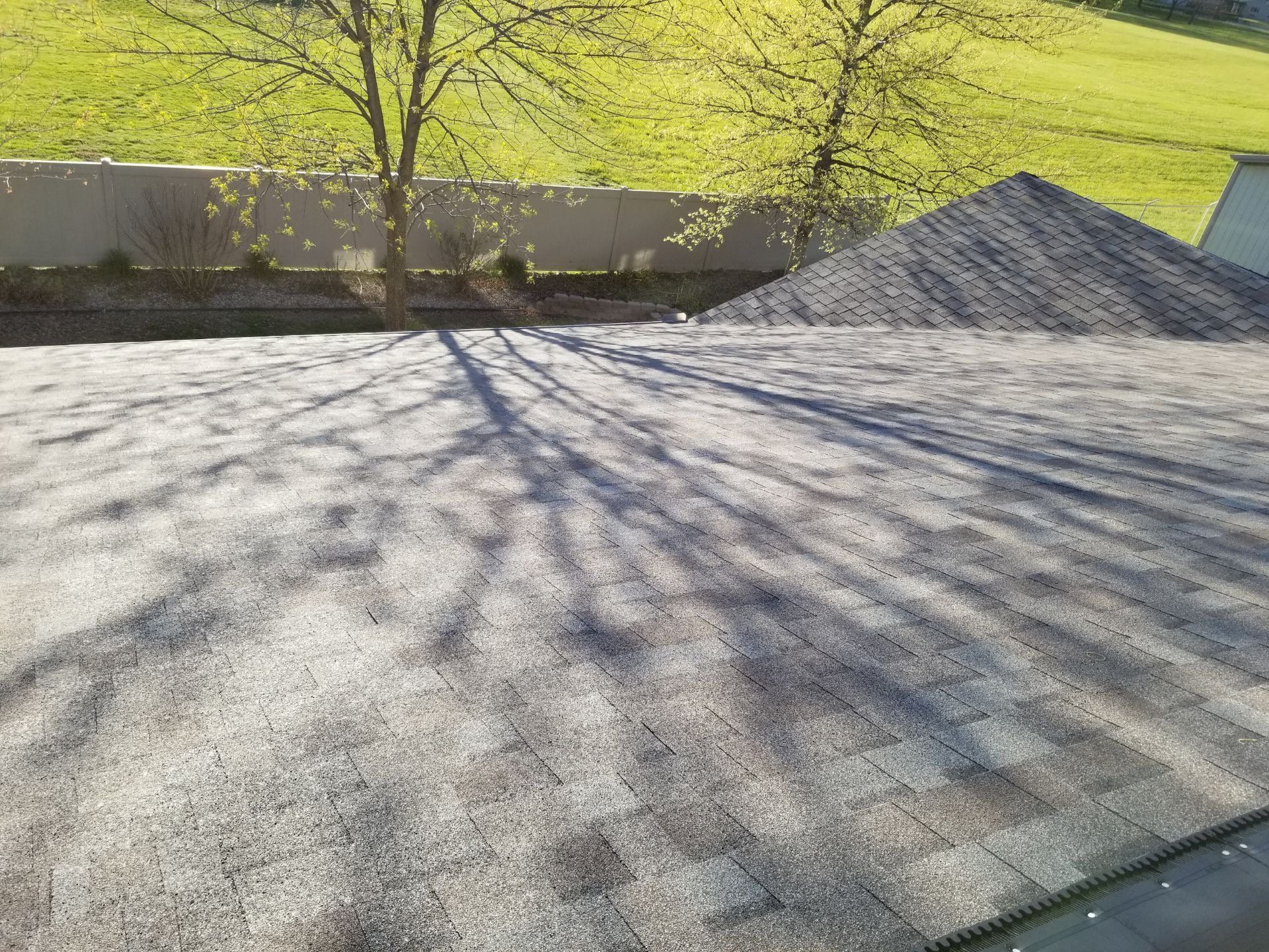 A shingled roof under bright sunlight, showing intricate tree branch shadows cast across the textured surface.