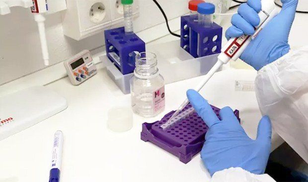 Persona con bata de laboratorio y guantes que utiliza una pipeta para dispensar líquido en un soporte para microtubos en un entorno de laboratorio.