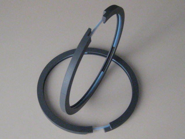 due fasce elastiche in PTFE