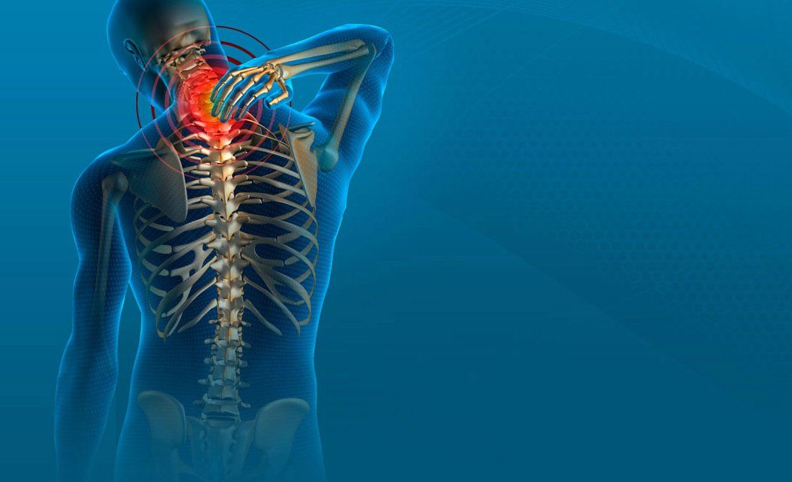 Chiropractors work to restore joint function and support the nervous system Chiropractic franchises health treatment