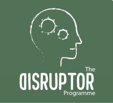 No Ordinary Business's Disruptor Programme The Disruptor Programme will make your SME more innovative and competitive