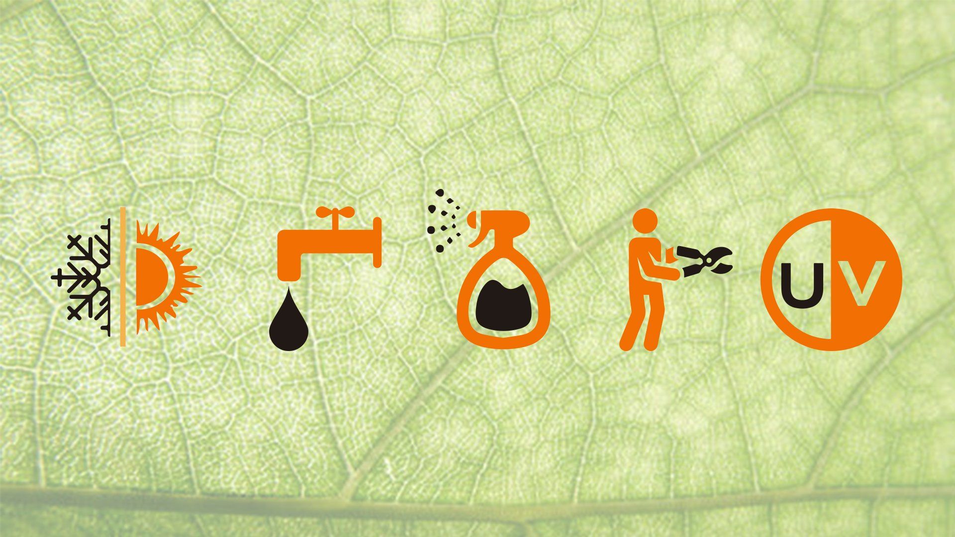 Muro verde beneficios