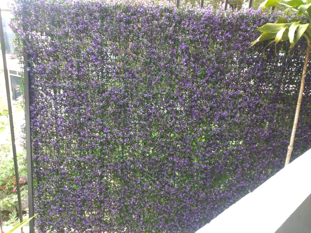 Muro verde reja