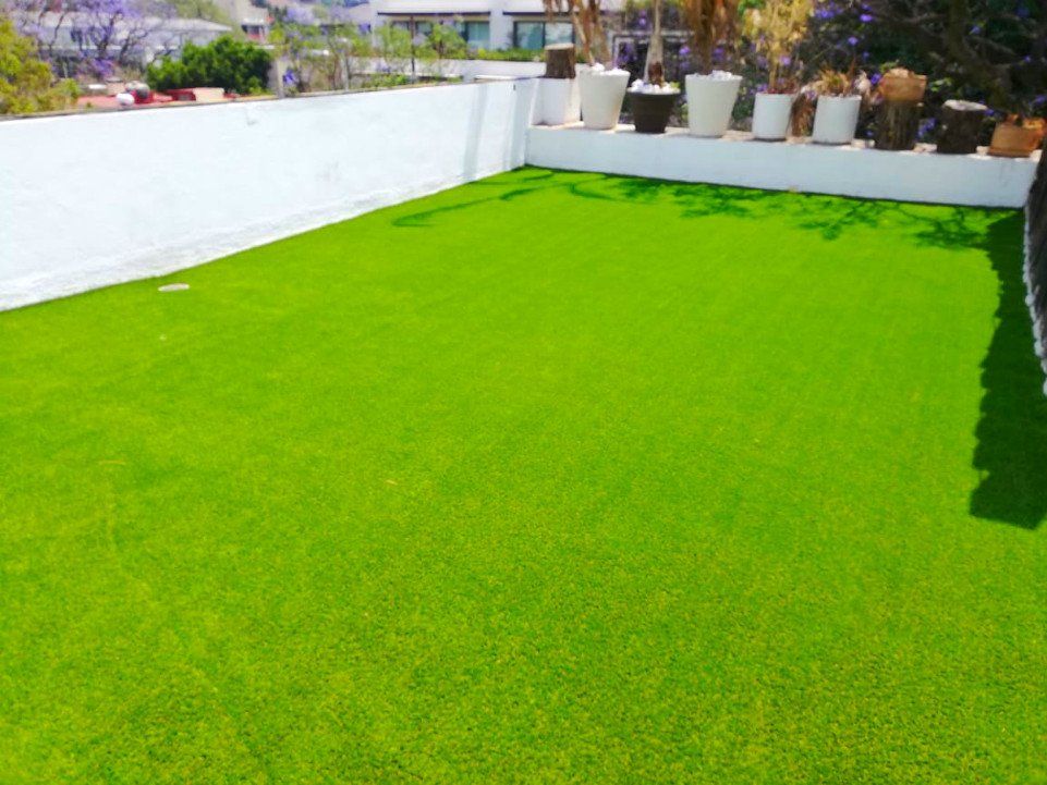 Pasto decorativo después