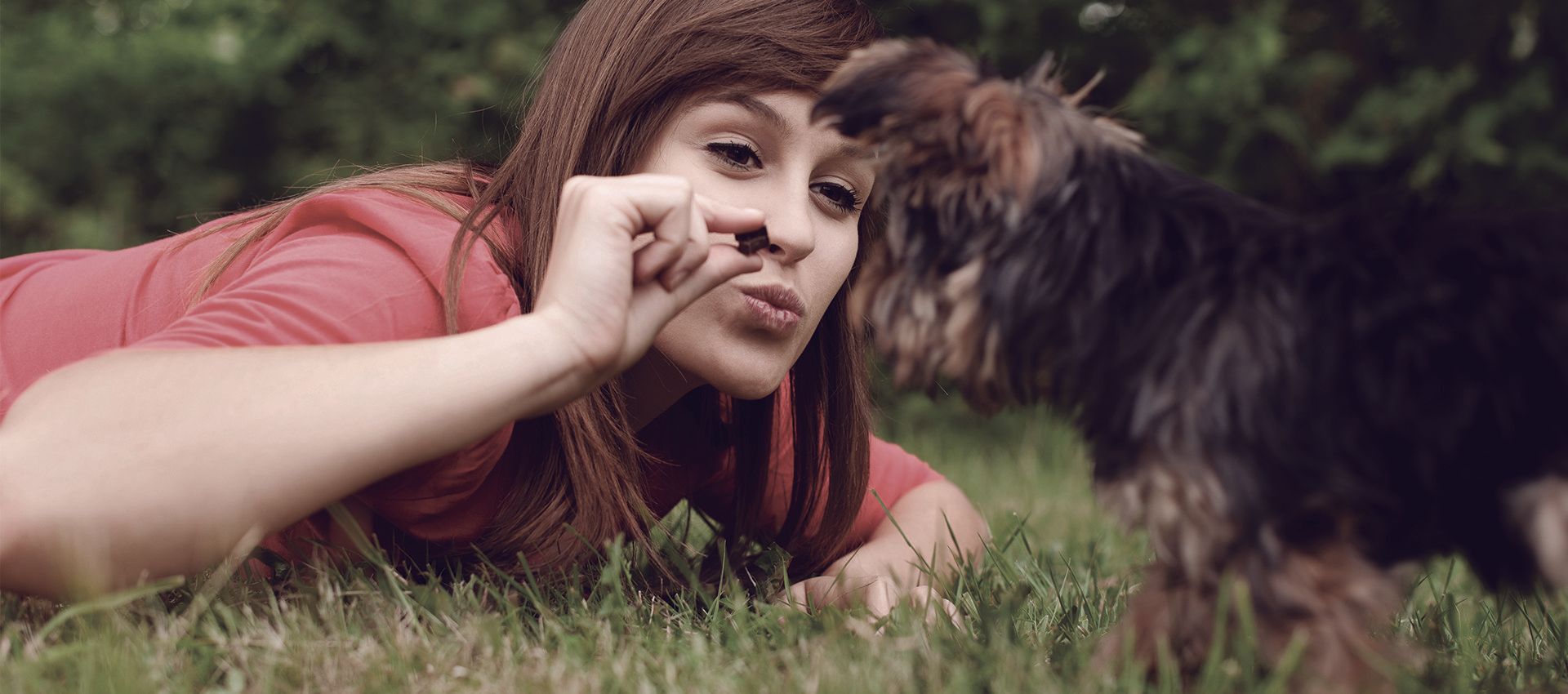 Pasto para mascota