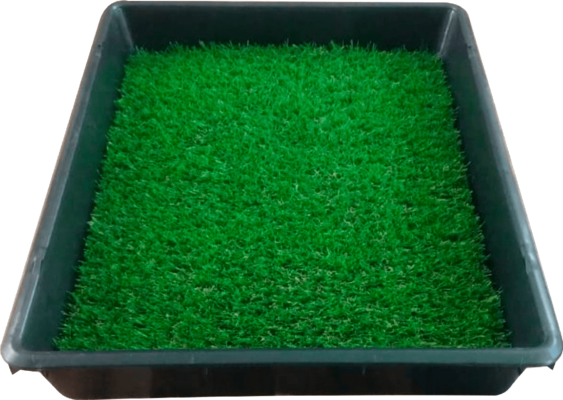 Tapete sanitizante con pasto sintetico