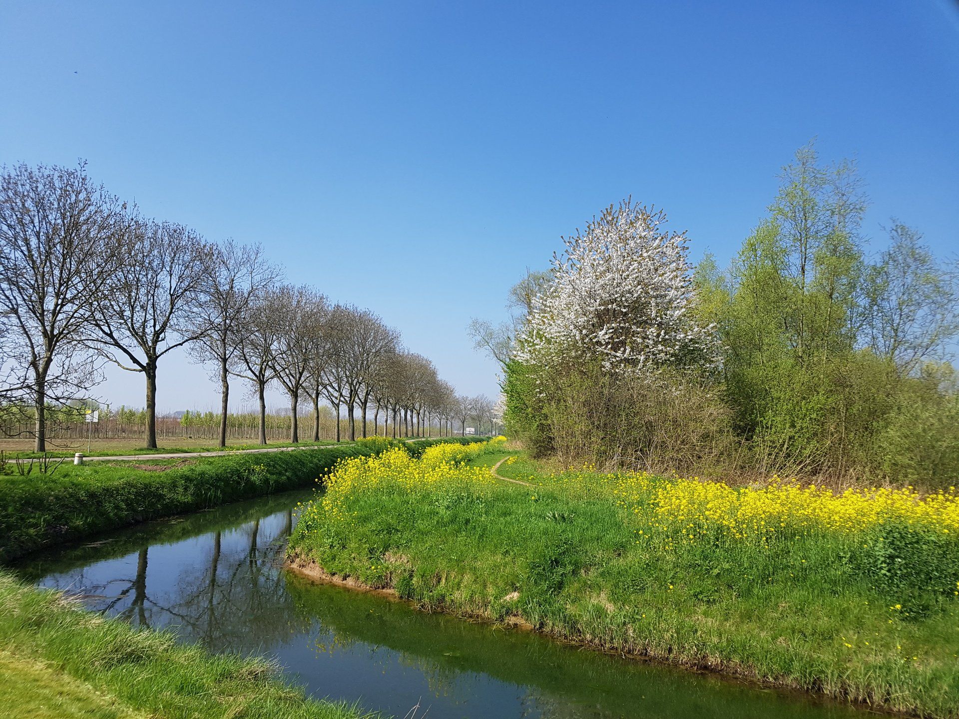 Omgeving