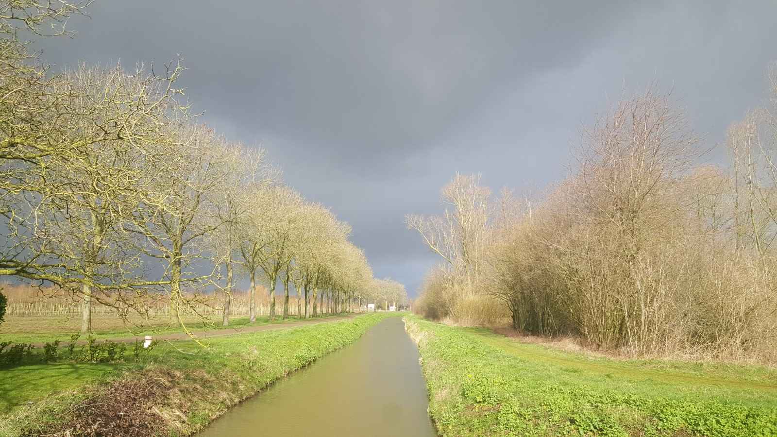 Een smal kanaal, omzoomd door bomen en grasrijke oevers, onder een bewolkte hemel.