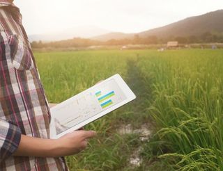 Farm Owners Insurance — A Farmer with a Tablet on the Field In Mcalester, OK Farm Owners Insurance — A Farmer with a Tablet on the Field In Mcalester, OK