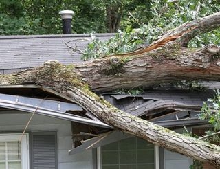 Personal Property Insurance Coverage — Wrecked Roof by a Broken Tree In Mcalester, OK Personal Property Insurance Coverage — Wrecked Roof by a Broken Tree In Mcalester, OK