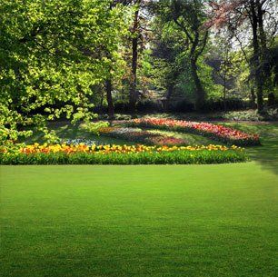 well maintained mature garden with flower borders