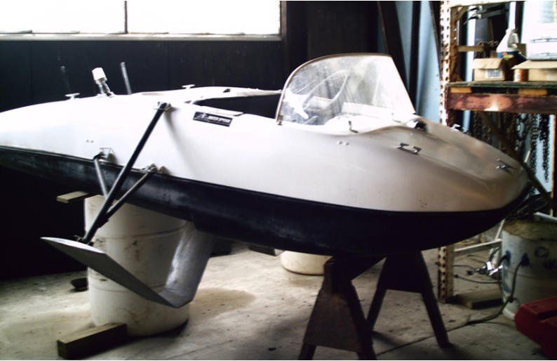 water spyder