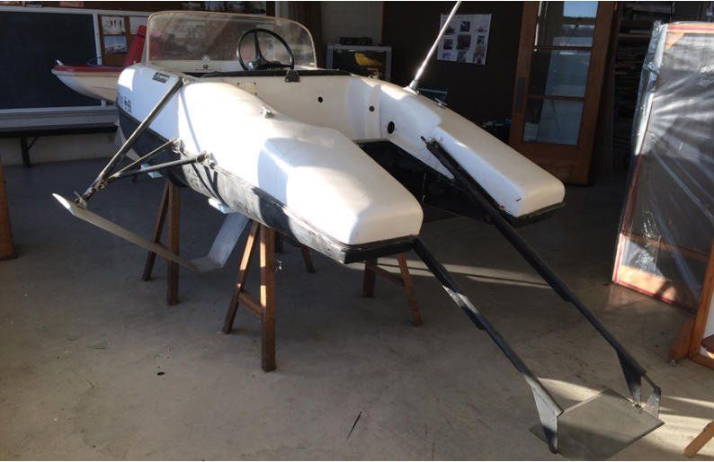 water spyder