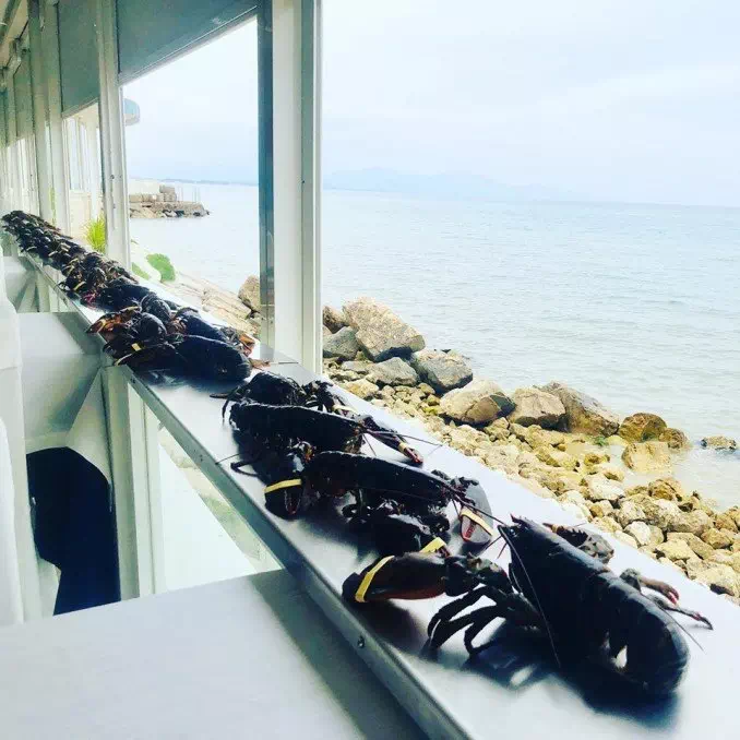Ristorante Porto Salvo Terracina Ie nostre creazioni e portate