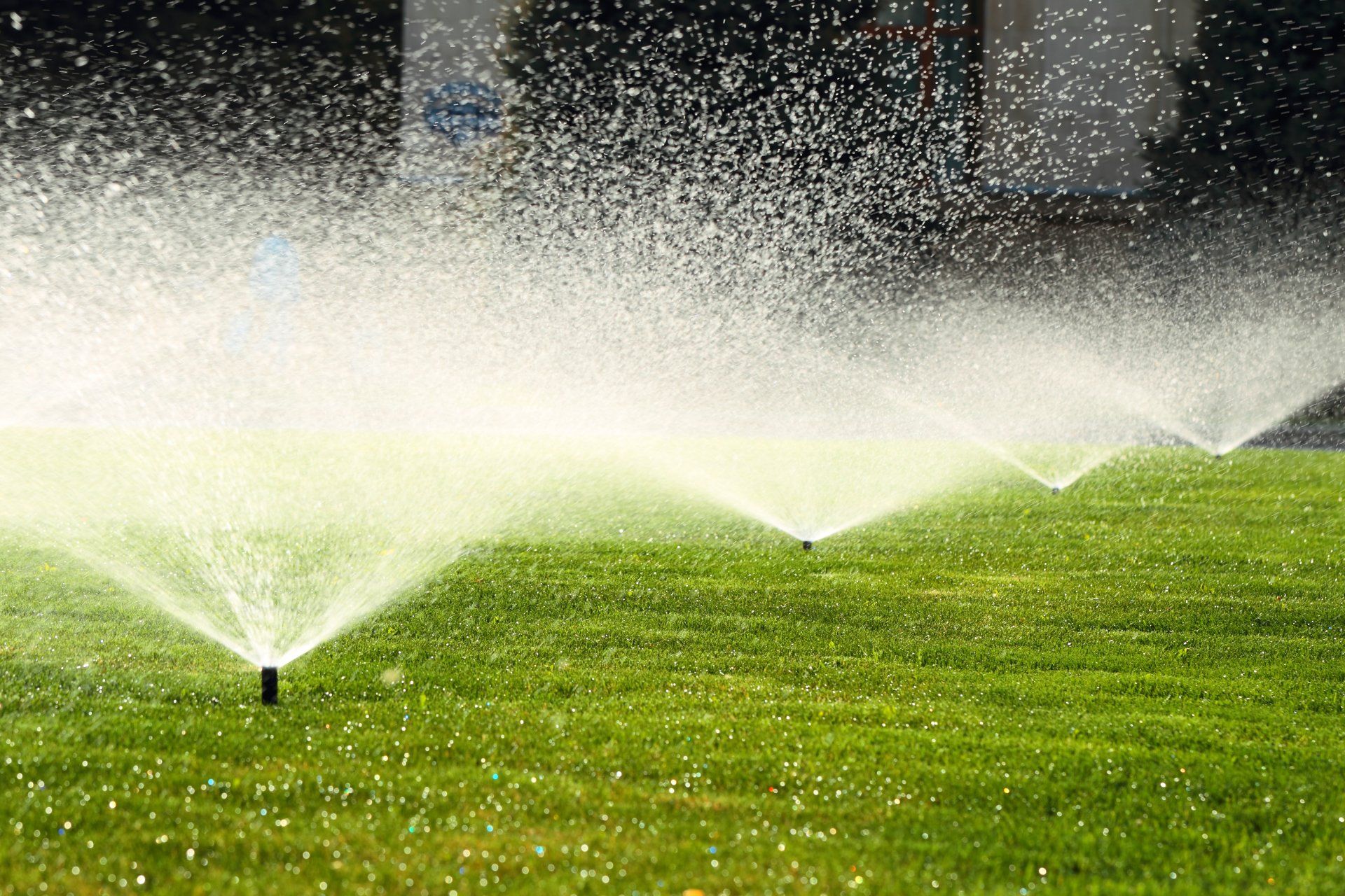 Bespoke irrigation services