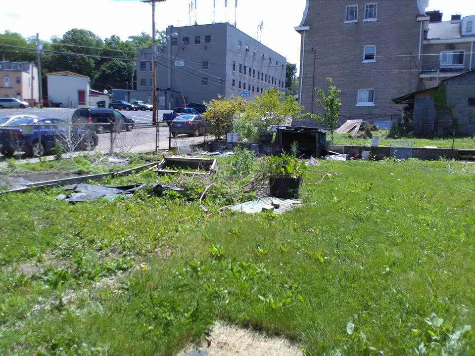 Huge Empty Yard — Pittsburgh, PA — Junk Magician